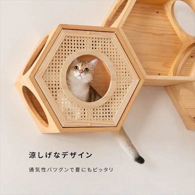 �Z�p�n�E�X�J�o�[ �E�F�[�u  MZ0021 _10