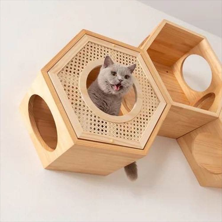 �Z�p�n�E�X�J�o�[ �E�F�[�u  MZ0021 _11