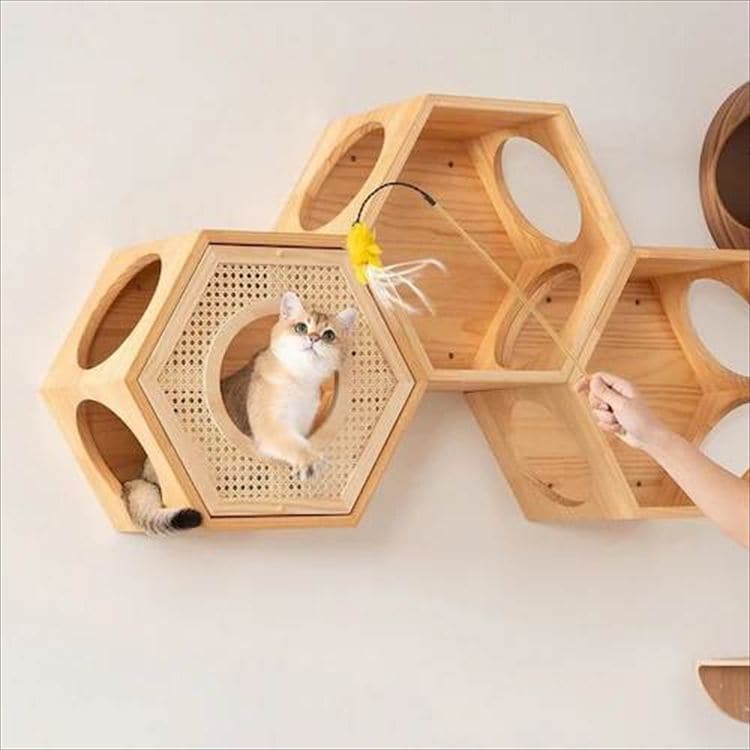 �Z�p�n�E�X�J�o�[ �E�F�[�u  MZ0021 _12