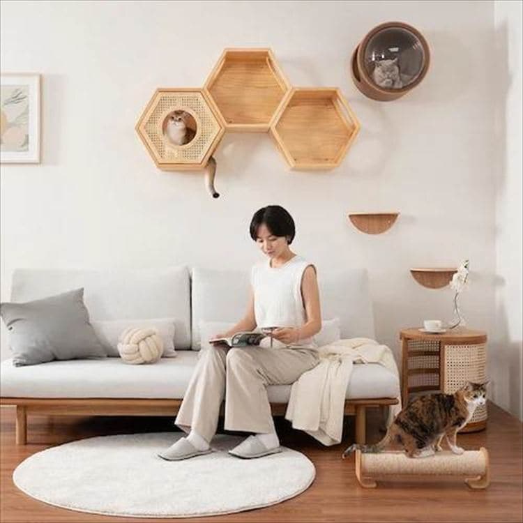 �Z�p�n�E�X�J�o�[ �E�F�[�u  MZ0021 _13