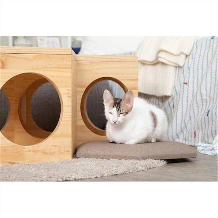 �Z�p�n�E�X�`�F�A�v���[�g MZ0023 _2