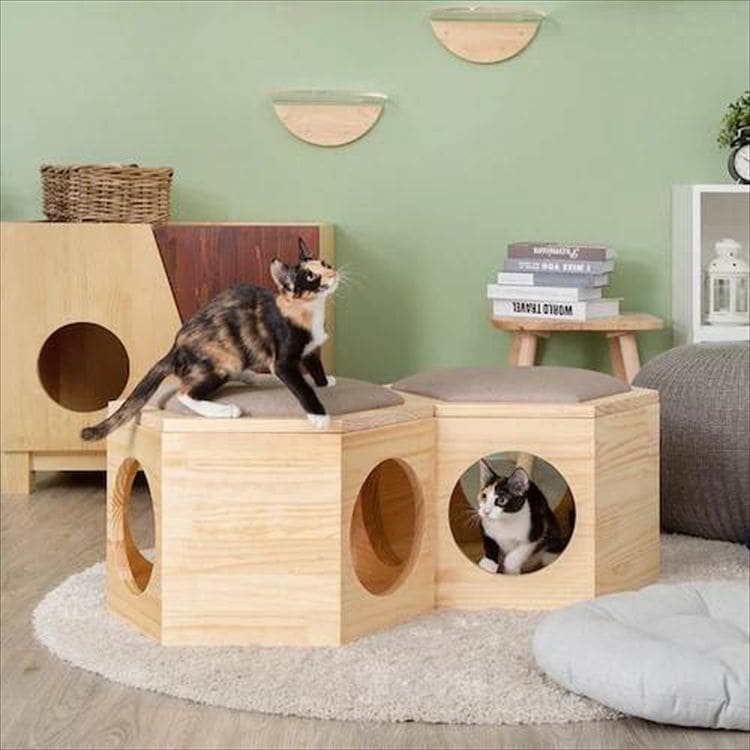 �Z�p�n�E�X�`�F�A�v���[�g MZ0023 _5