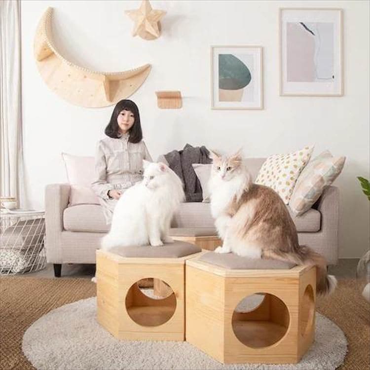 �Z�p�n�E�X�`�F�A�v���[�g MZ0023 _7