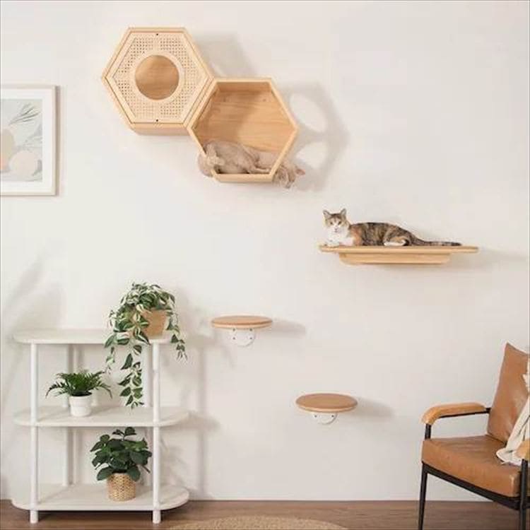 Cork �R���N�L���b�g�X�e�b�v MZ0026_3