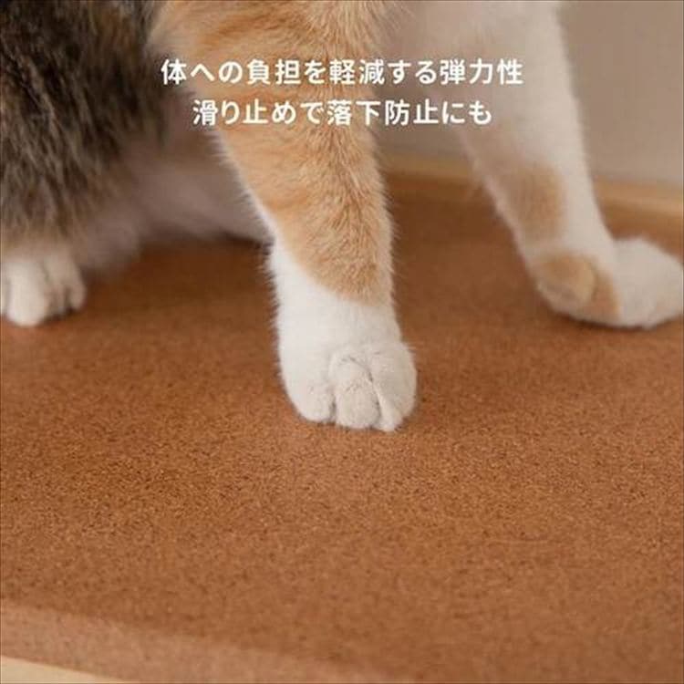 Cork �R���N�L���b�g�X�e�b�v MZ0026_6