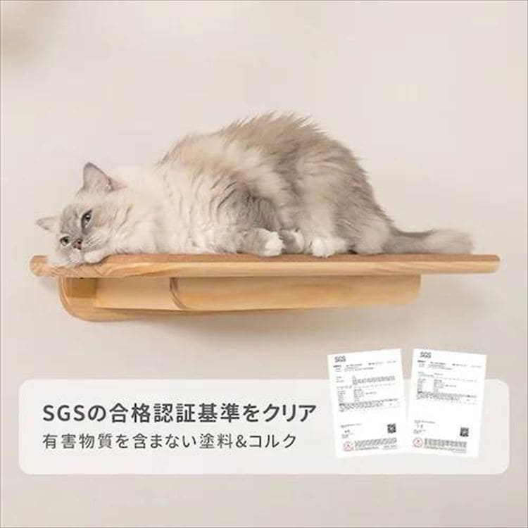 Cork �R���N�L���b�g�X�e�b�v MZ0026_8