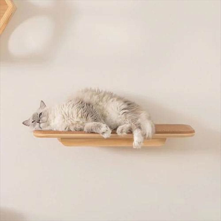 Cork �R���N�L���b�g�X�e�b�v MZ0026_9