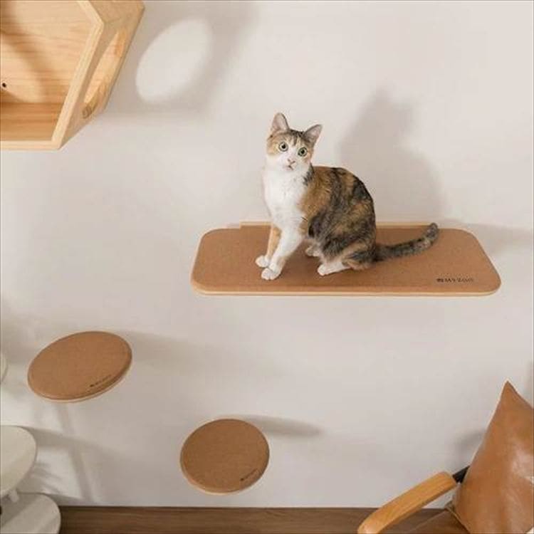 Cork �R���N�L���b�g�X�e�b�v MZ0026_10