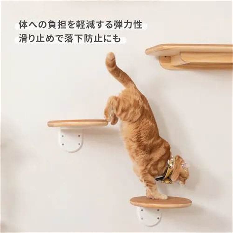 Cork-R ���^�L���b�g�X�e�b�v MZ0027 _5