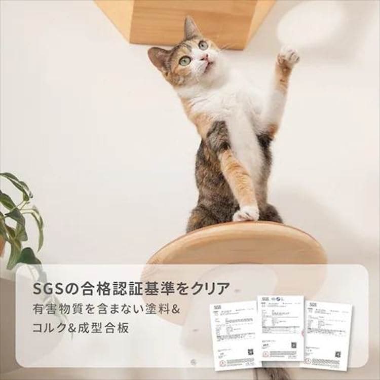 Cork-R ���^�L���b�g�X�e�b�v MZ0027 _7