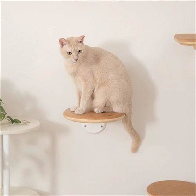 Cork-R ���^�L���b�g�X�e�b�v MZ0027 _8