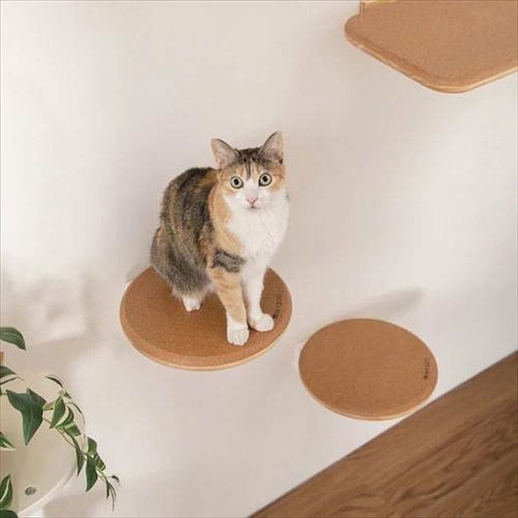 Cork-R ���^�L���b�g�X�e�b�v MZ0027 _9