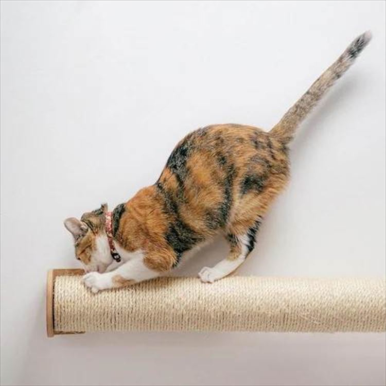 CYLINDER 爪とぎ 交換用ポール II MZ0029_4