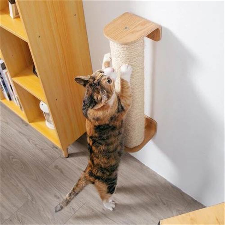 CYLINDER 爪とぎ 交換用ポール II MZ0029_5