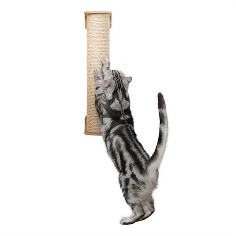 CYLINDER 爪とぎ 交換用ポール II MZ0029_8