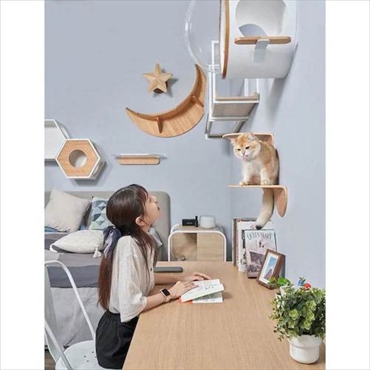 LUNA �O�����^ �L���b�g�X�e�b�v MZ0035 _4