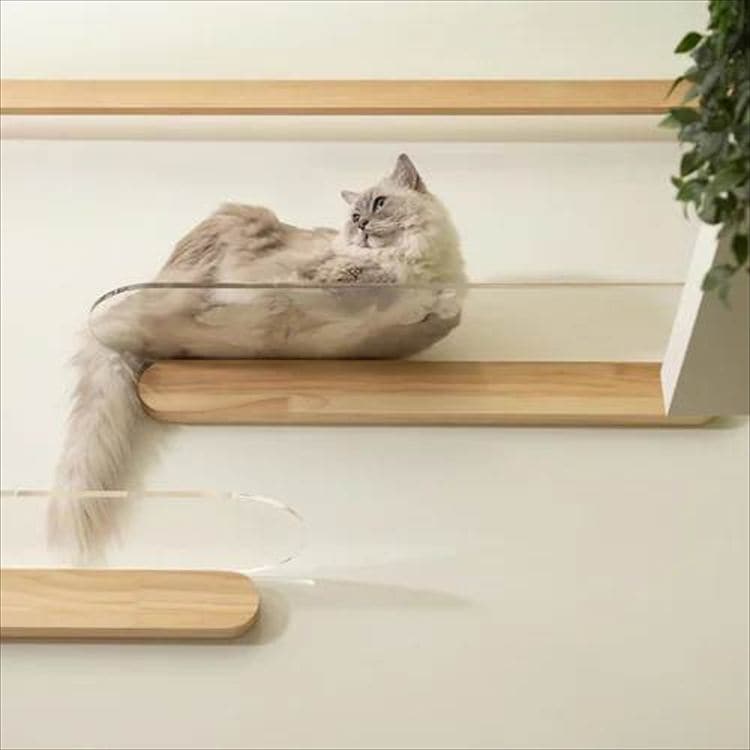 OBLONG �N���A�L���b�g�X�e�b�v L�T�C�Y 90cm MZ0036 _2