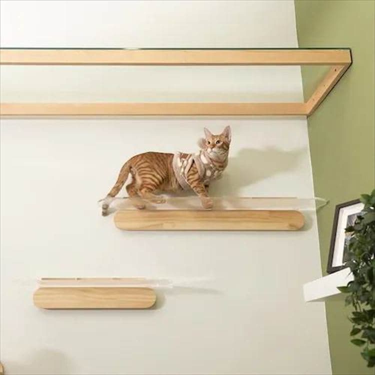 OBLONG �N���A�L���b�g�X�e�b�v L�T�C�Y 90cm MZ0036 _3