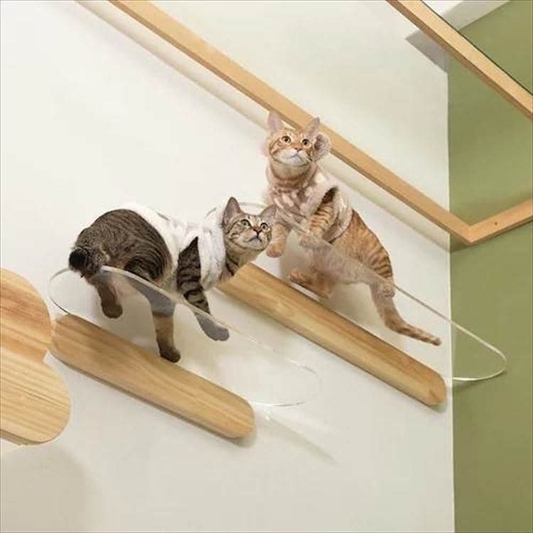 OBLONG �N���A�L���b�g�X�e�b�v L�T�C�Y 90cm MZ0036 _4