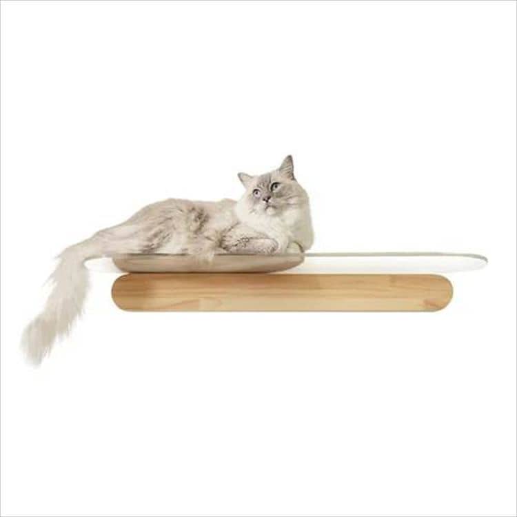 OBLONG �N���A�L���b�g�X�e�b�v L�T�C�Y 90cm MZ0036 _6