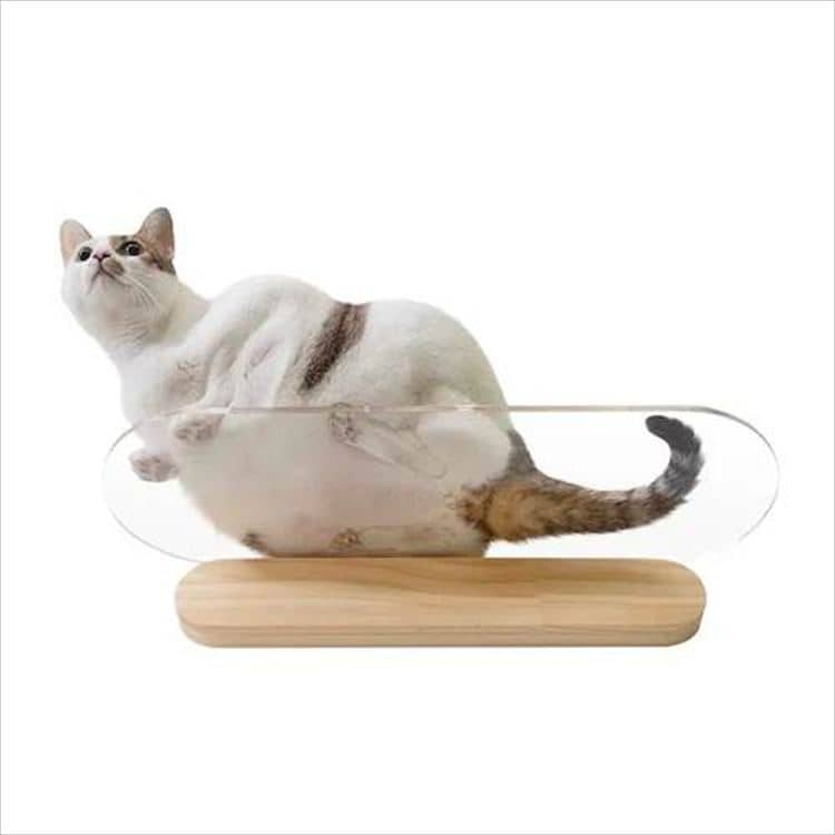 OBLONG �N���A�L���b�g�X�e�b�v L�T�C�Y 90cm MZ0036 _7