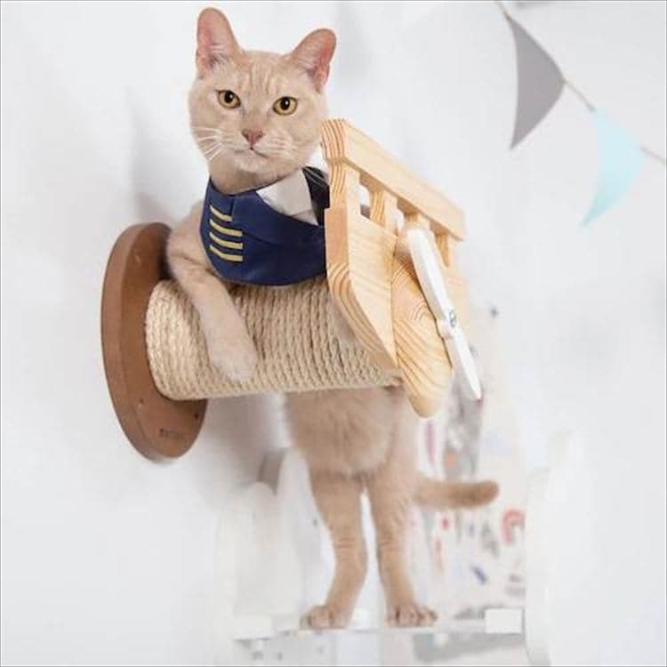 PLANE 飛行機型キャットステップ&爪とぎ MZ0038 _3