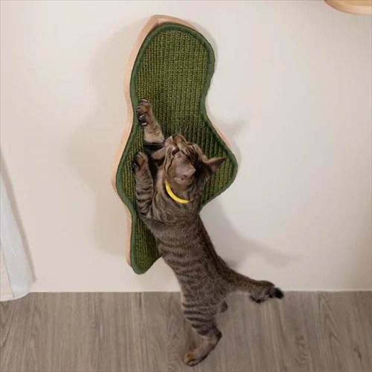 SEAWEED モチーフ爪とぎ 交換用爪研ぎ布 MZ0102 _8