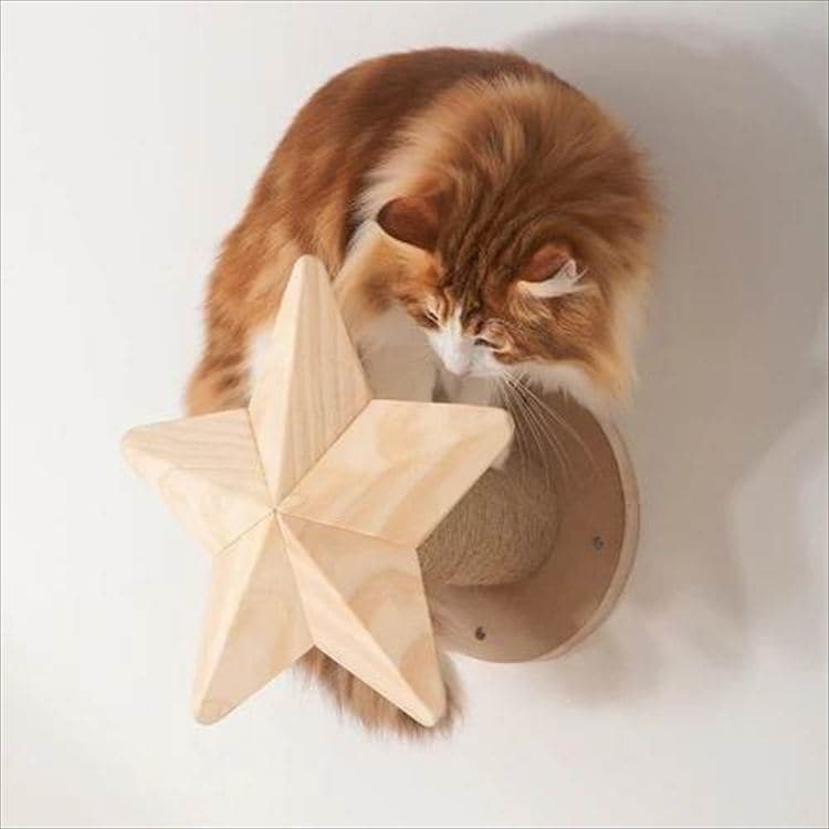 TWINKLESTAR キャットステップ&爪研ぎ 星モチーフ MZ0044 _2