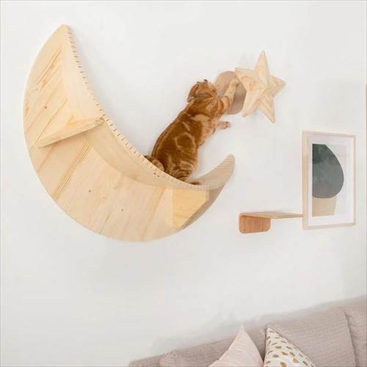 TWINKLESTAR キャットステップ&爪研ぎ 星モチーフ MZ0044 _3