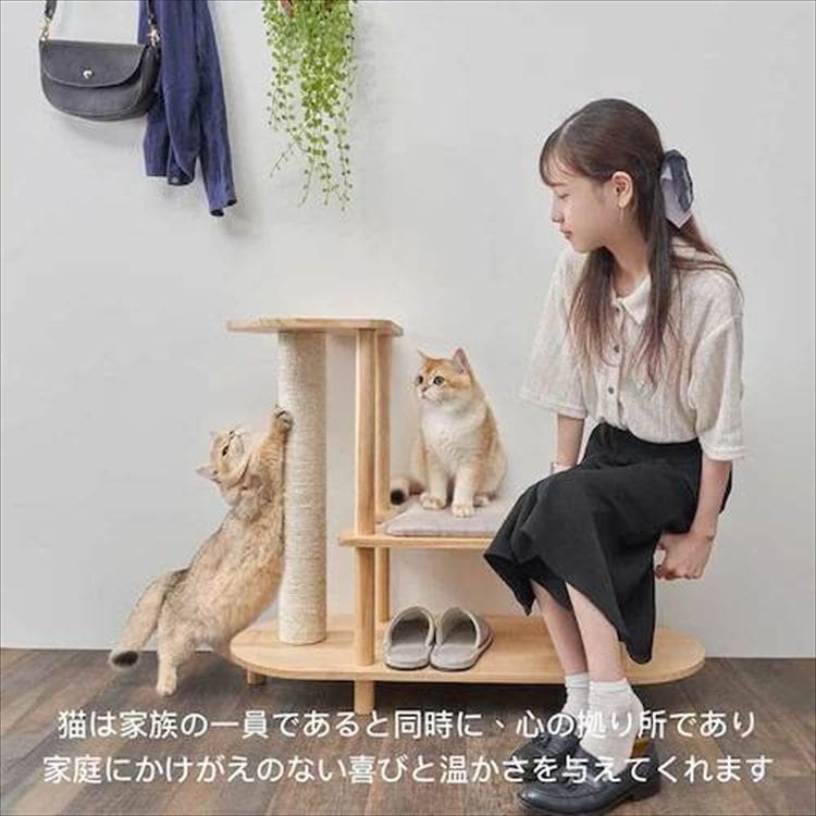 TRINEST �V���[�Y�X�c�[�� MZ0047 _2