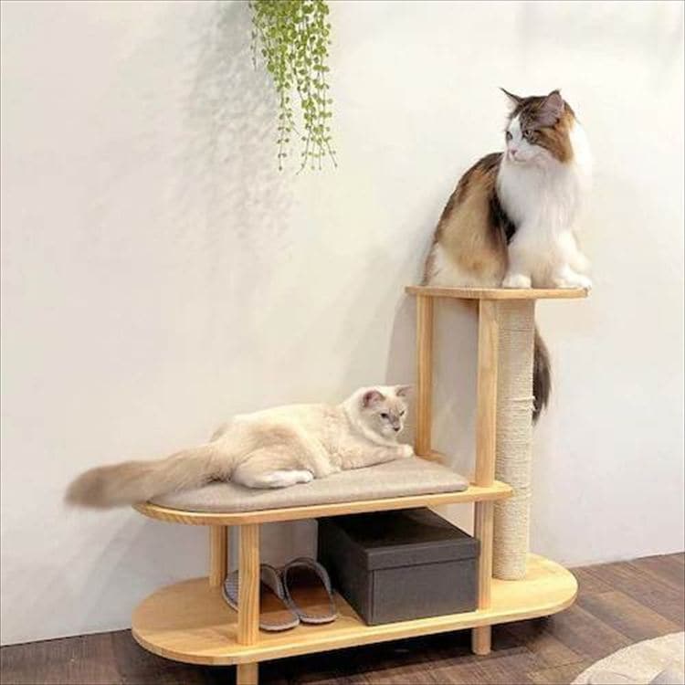 TRINEST �V���[�Y�X�c�[�� MZ0047 _5