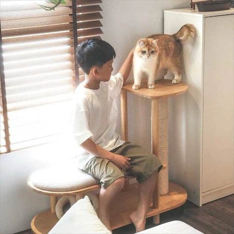 TRINEST �V���[�Y�X�c�[�� MZ0047 _6