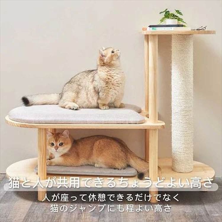 TRINEST �V���[�Y�X�c�[�� MZ0047 _12