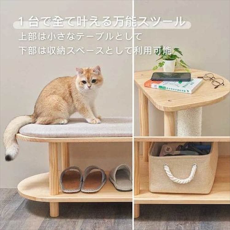 TRINEST �V���[�Y�X�c�[�� MZ0047 _13