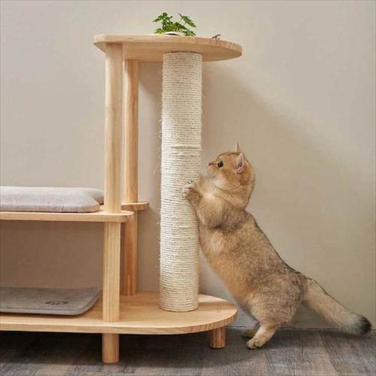 TRINEST �V���[�Y�X�c�[�� MZ0047 _15