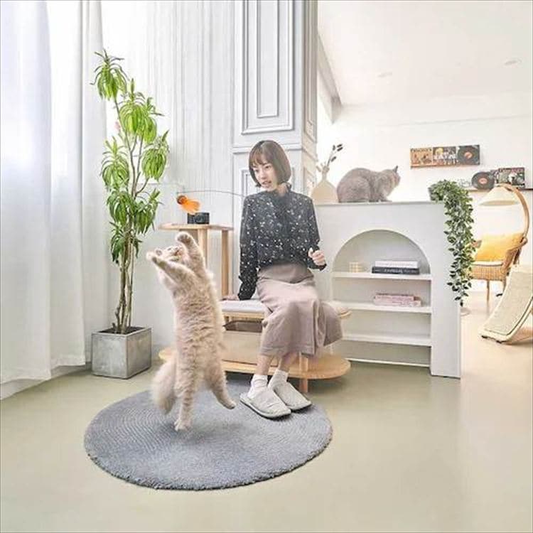 TRINEST �V���[�Y�X�c�[�� MZ0047 _16