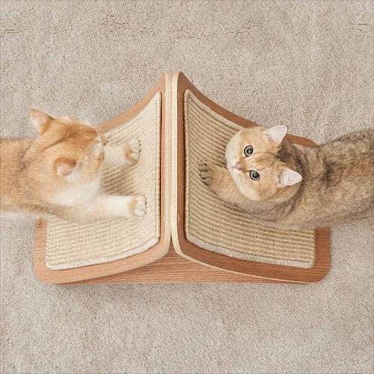 TRIPAWS 猫用爪とぎボード MZ0048 _6