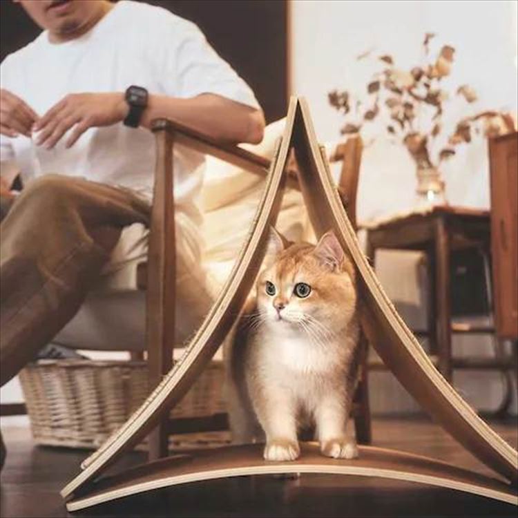 TRIPAWS 猫用爪とぎボード MZ0048 _14