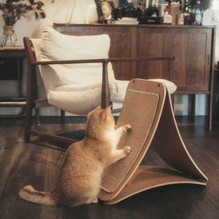 TRIPAWS 猫用爪とぎボード MZ0048 _15