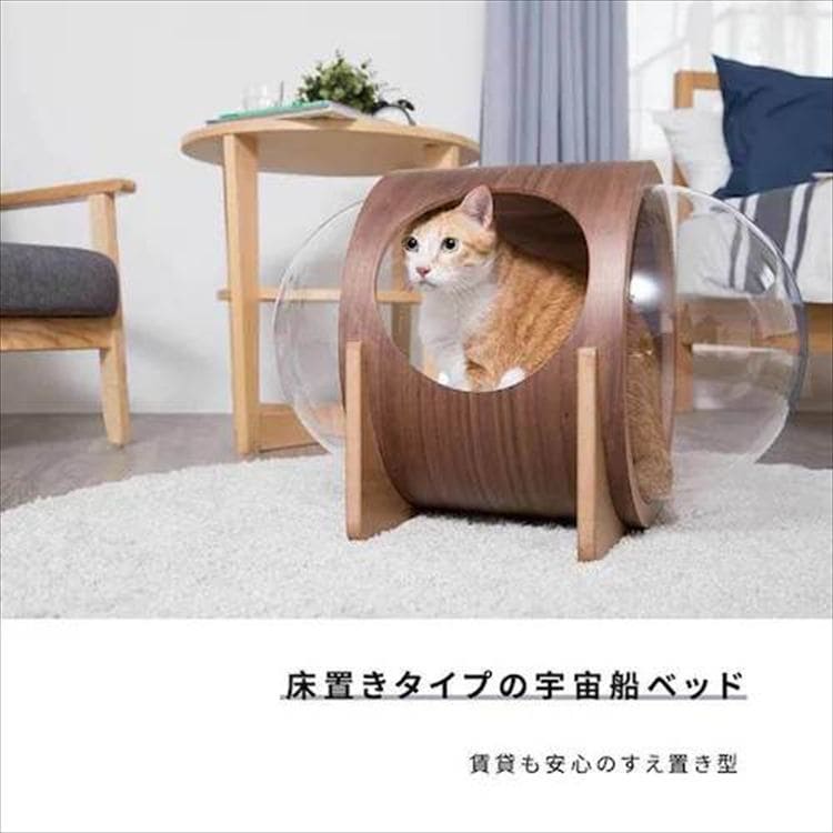 ALPHA �F���D�x�b�h �E�H�[���i�b�g MZ0079 _2