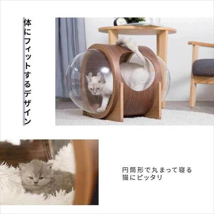 ALPHA �F���D�x�b�h �E�H�[���i�b�g MZ0079 _3