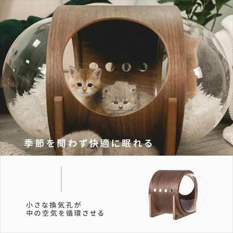 ALPHA �F���D�x�b�h �E�H�[���i�b�g MZ0079 _4