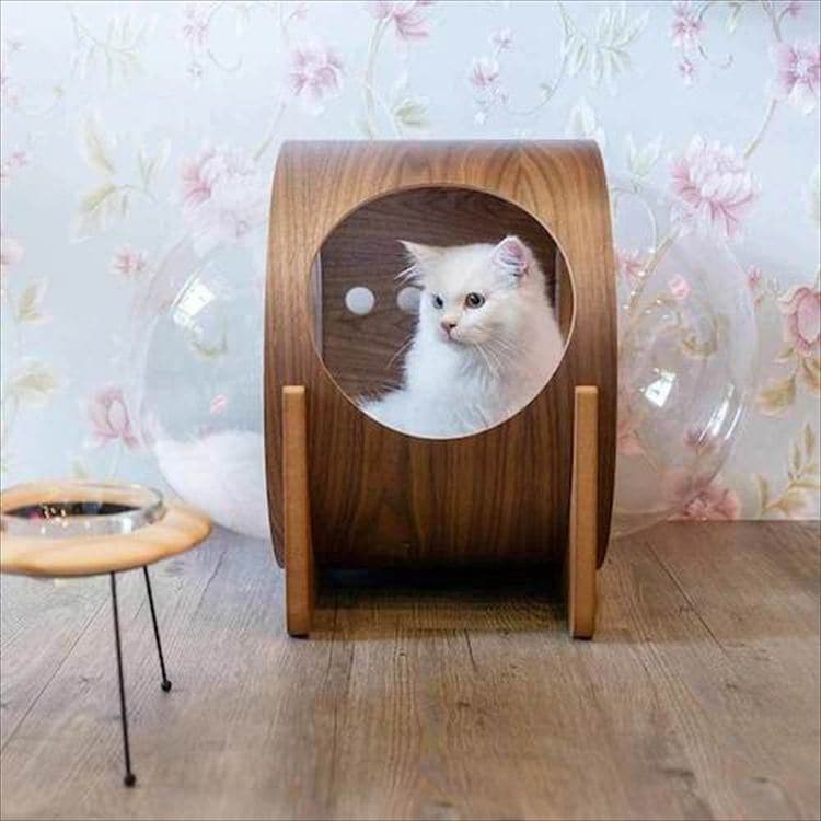 ALPHA �F���D�x�b�h �E�H�[���i�b�g MZ0079 _5