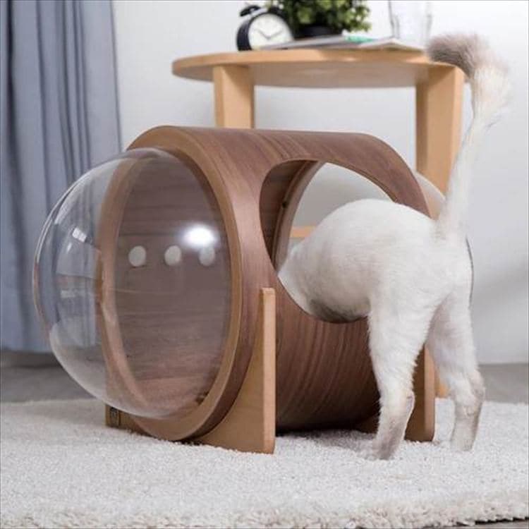 ALPHA �F���D�x�b�h �E�H�[���i�b�g MZ0079 _6