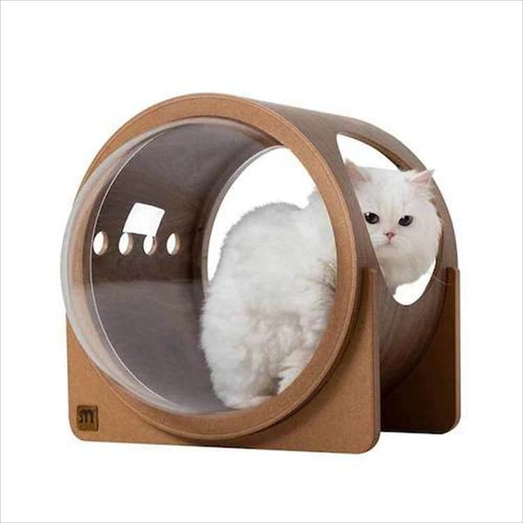 ALPHA �F���D�x�b�h �E�H�[���i�b�g MZ0079 _7