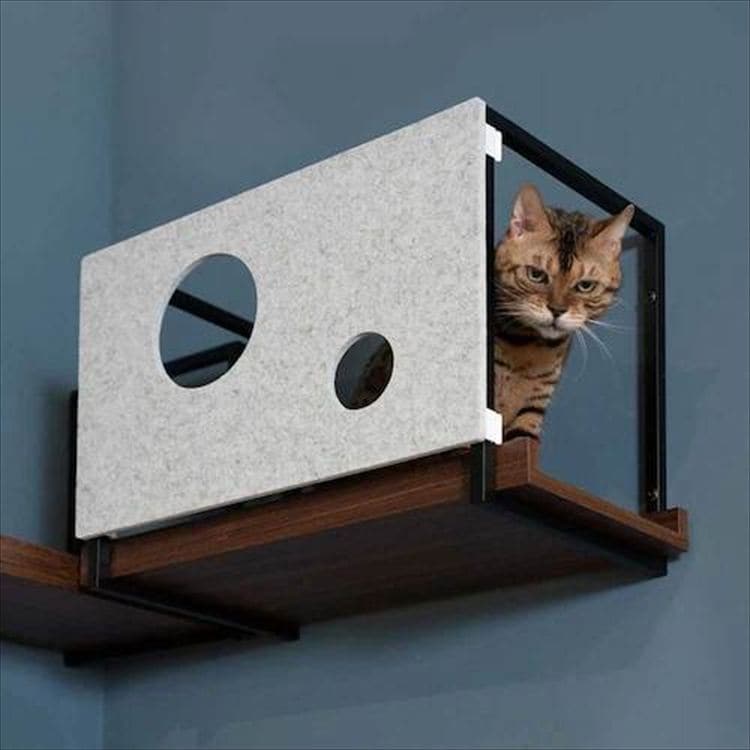 AVENUECOVER �L���b�g�X�e�b�v L�T�C�Y MZ0100 _2