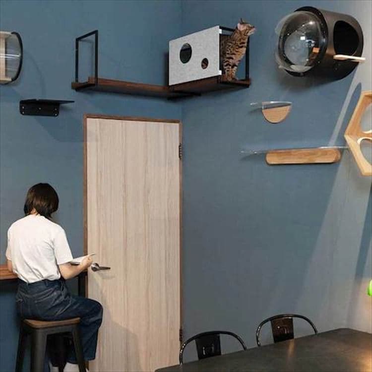 AVENUECOVER �L���b�g�X�e�b�v L�T�C�Y MZ0100 _4