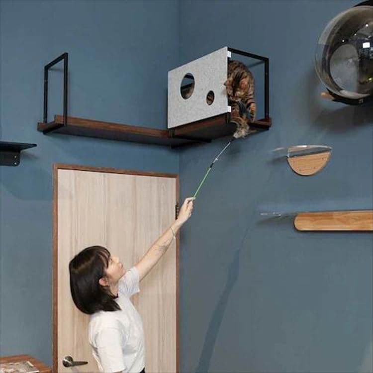 AVENUECOVER �L���b�g�X�e�b�v L�T�C�Y MZ0100 _5