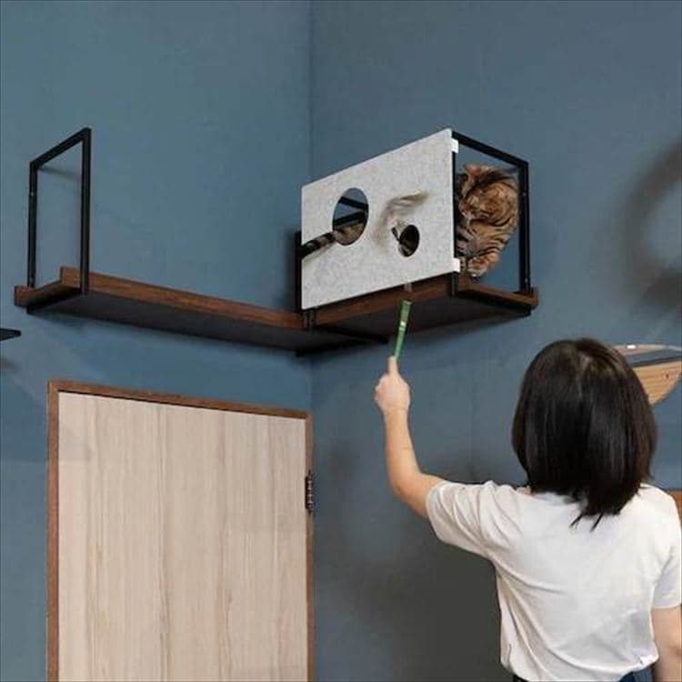 AVENUECOVER �L���b�g�X�e�b�v L�T�C�Y MZ0100 _6