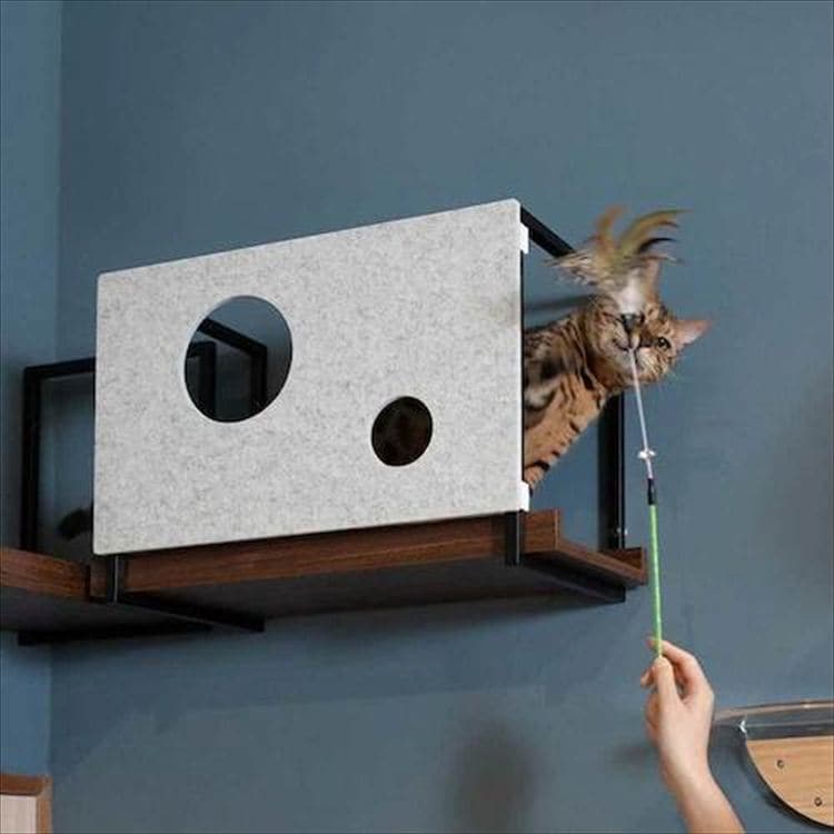 AVENUECOVER �L���b�g�X�e�b�v L�T�C�Y MZ0100 _7